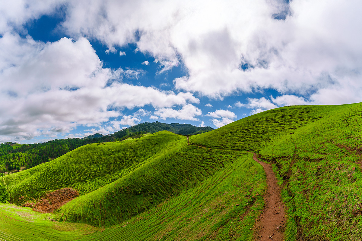 DSC00542-Pano